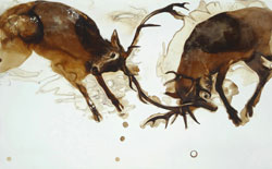 JAMES GRIFFITH - Natural Selection - Stag Fight, painting, tar, animal, deer, abstract